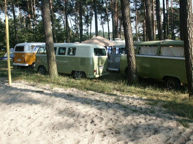 fot.Marwerik