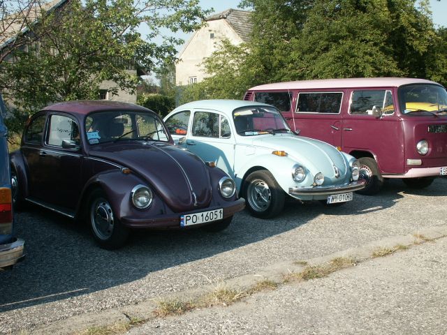 fot.Marwerik