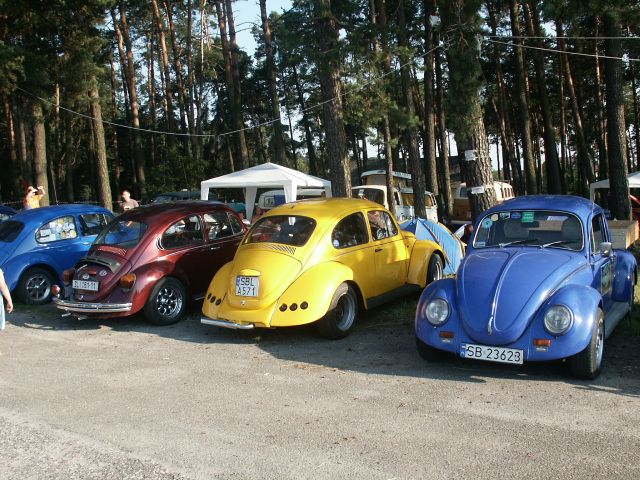 fot.Marwerik