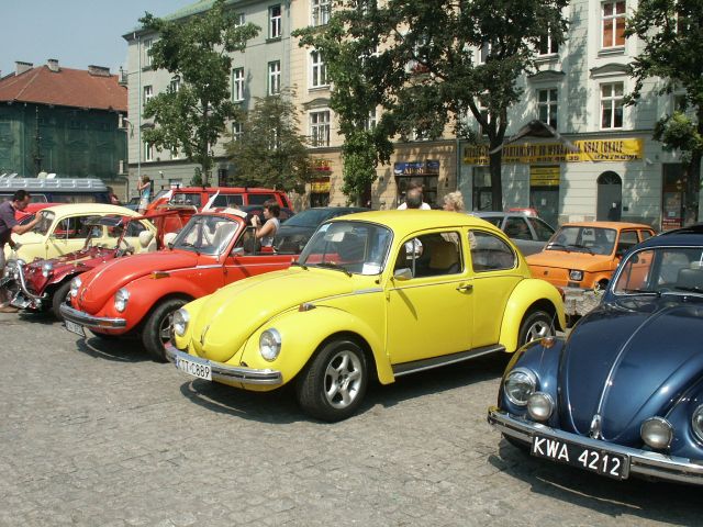 fot.Marwerik