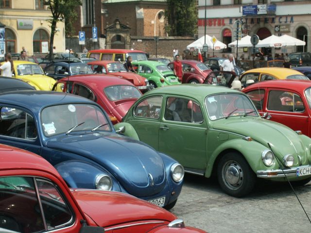 fot.Marwerik