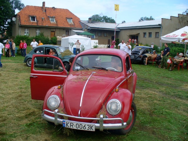 fot.Dominik