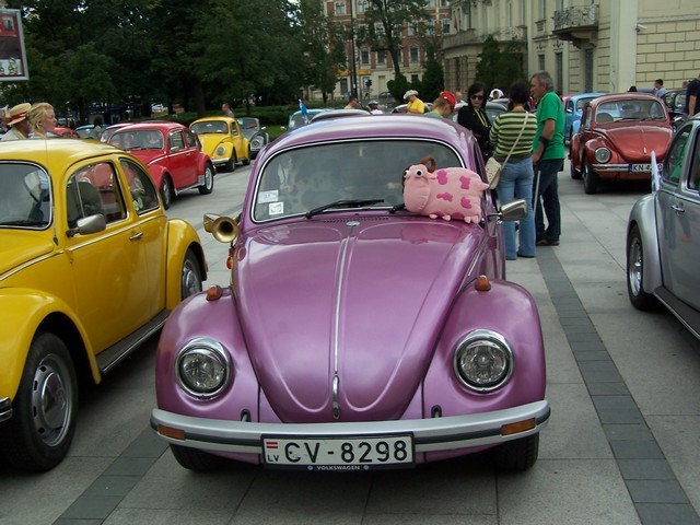 fot.Justyna Lasek