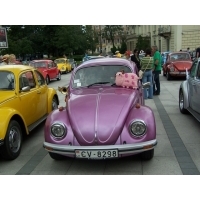 fot.Justyna Lasek