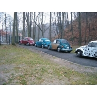 fot.Miniu