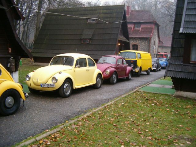 fot.Miniu