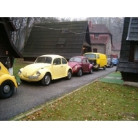 fot.Miniu