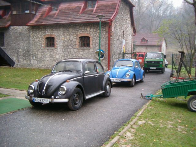 fot.Miniu