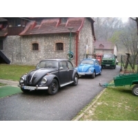 fot.Miniu