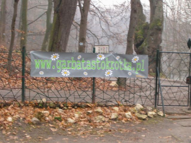 fot.Miniu