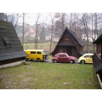 fot.Miniu