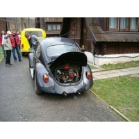fot.Miniu