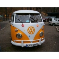 fot.Miniu