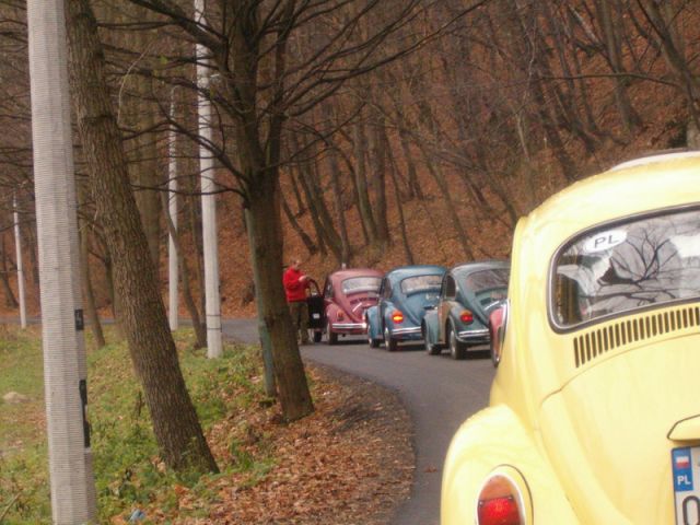 fot.Miniu