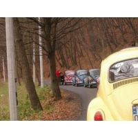 fot.Miniu