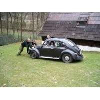 fot.Miniu