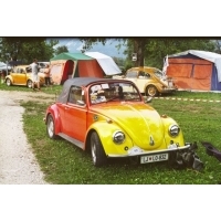 fot.Petr