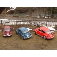 Stokrotkowe VW
