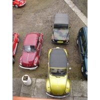 VW zlotowe