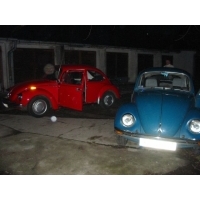 100_0004.jpg