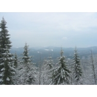 100_0044.jpg