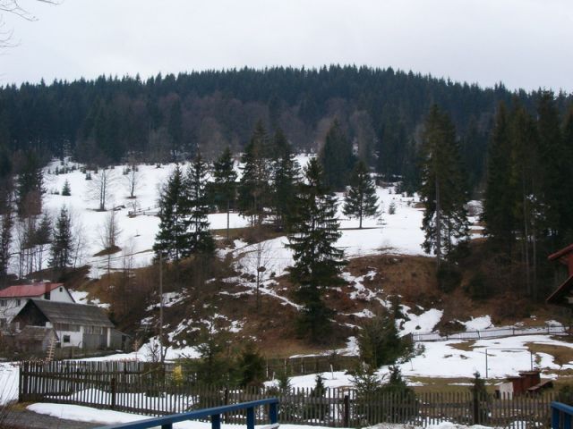 HPIM4581.jpg