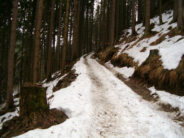 HPIM4593.jpg