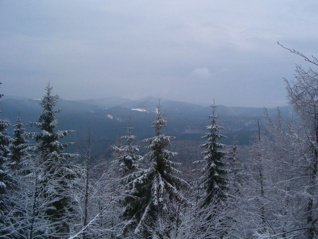 HPIM4629.jpg