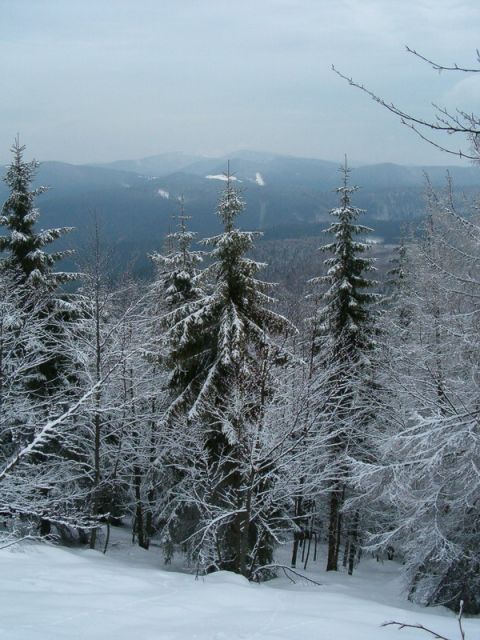 HPIM4634.jpg