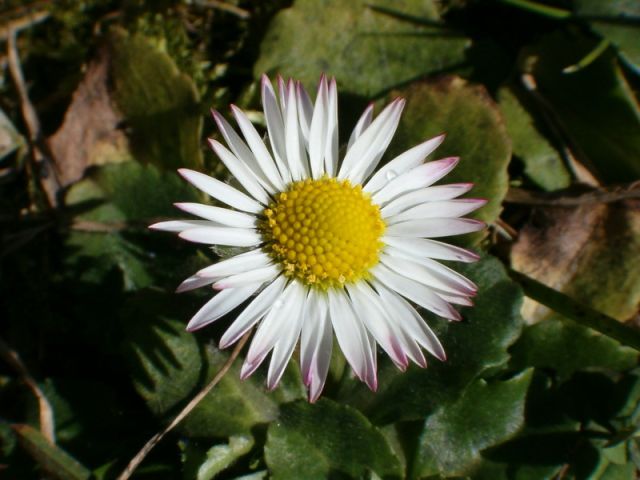 HPIM4702.jpg