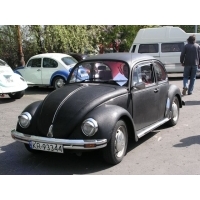 Fot.Wojtek