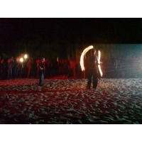 fot.Artek