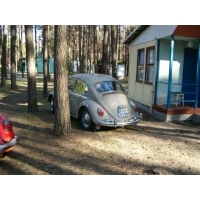 HPIM4904.jpg