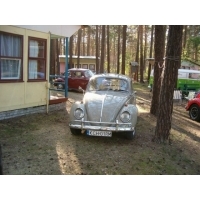 HPIM4905.jpg