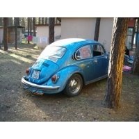 HPIM4915.jpg