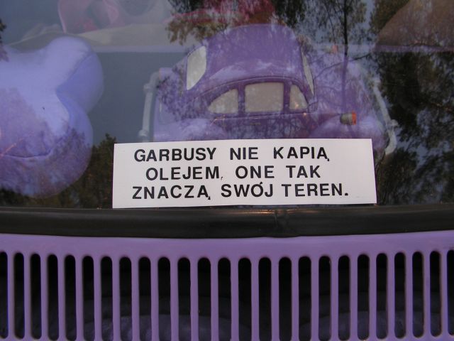 PICT0064.jpg